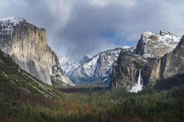 Frozen Bridleveil