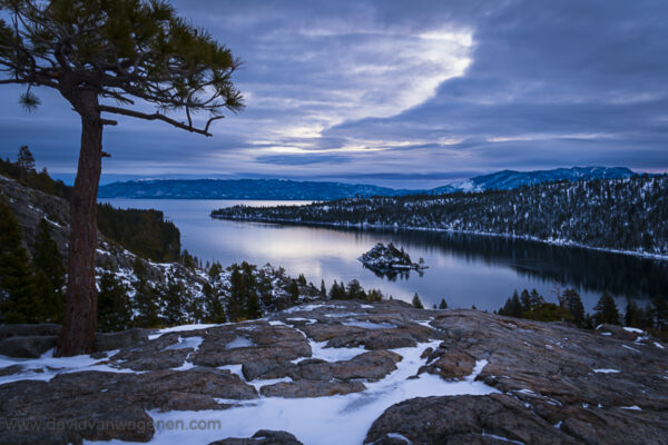 Lake Tahoe Tree & Emerald Bay Morning