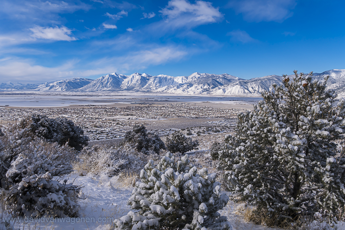 Carson Valley Snow