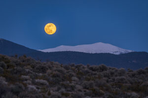 Moonrise over Nevada Pinenuts