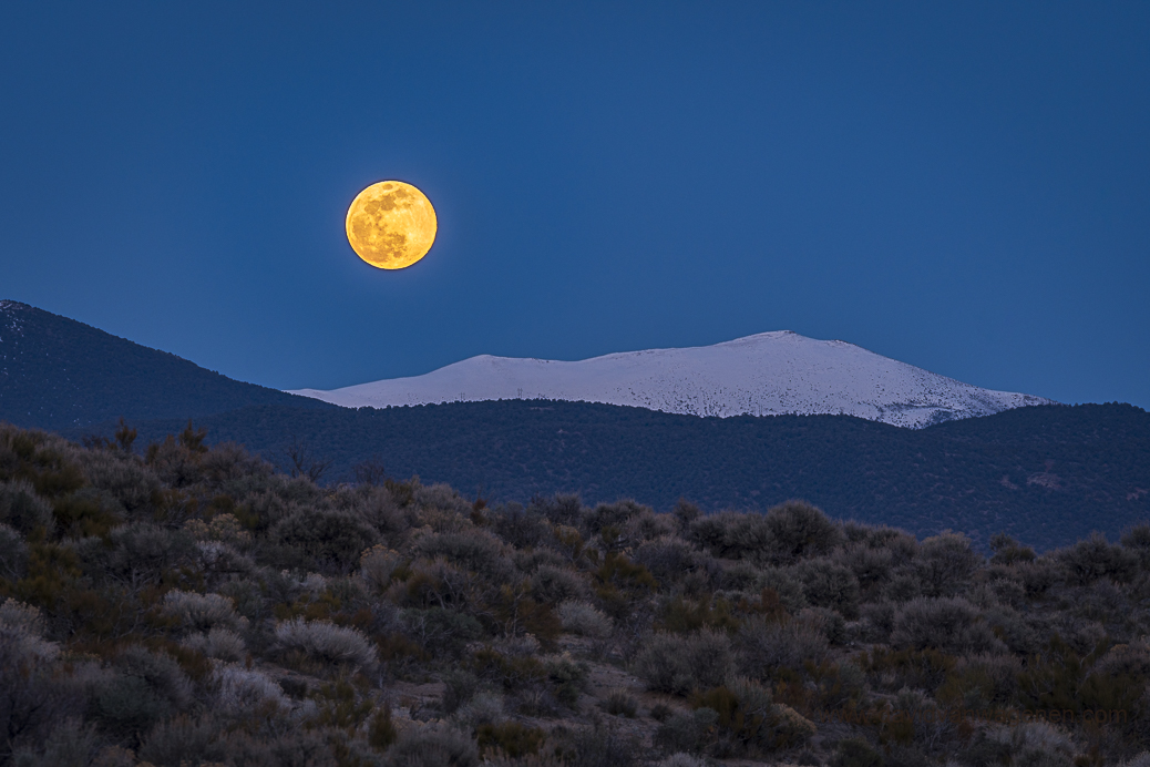 Moonrise over Nevada Pinenuts