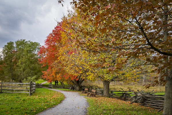 Path to Sacred Grove