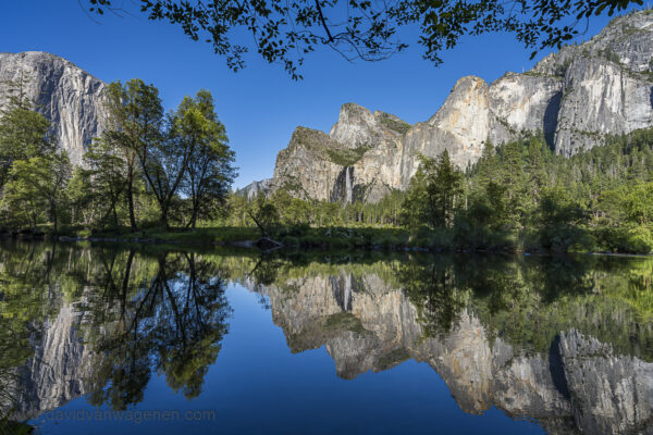 Bridleveil Falls & El Cap