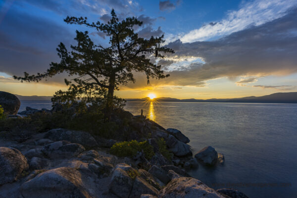 Lake Tahoe the Tree on Peninsula
