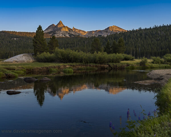 Tuolumne Meadows Cathedral Range